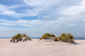 Dunes on the Dutch islands