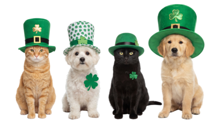 Cute cats and dogs dressed in St. Patrick's Day green hats for festive pet-themed designs on white or transparent background.