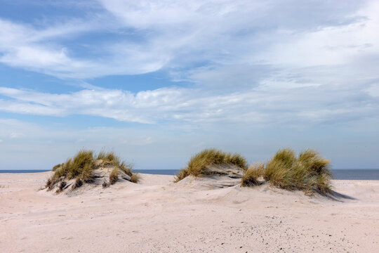 Dunes on the Dutch islands