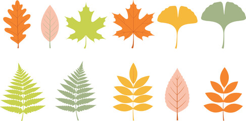 Obraz premium Flat botanical leaf collection featuring maple, oak, ginkgo and fern leaves in soft autumn colors vector set