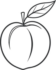 Peach Line Art Illustration – Isolated on Transparent Background Minimal Black Fruit Outline Drawing