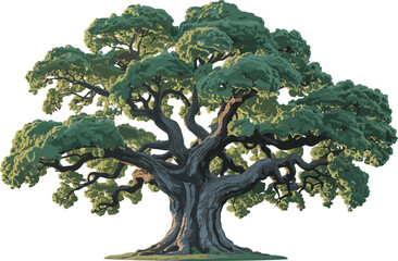 Majestic ancient tree illustration with sprawling branches and lush green foliage, detailed nature artwork perfect for environmental themes, landscapes, and botanical design projects