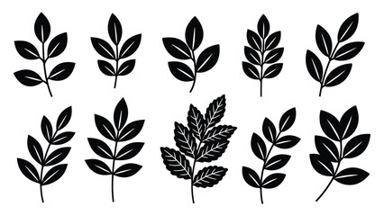 Obraz premium Set of Black Silhouettes of Various Plant Leaves and Branches