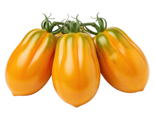 Isolated three orange heirloom tomatoes on the vine in closeup for healthy gourmet food
