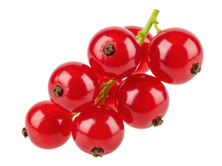 Isolated fresh red currants, glossy vibrant red, small round berries with green stems