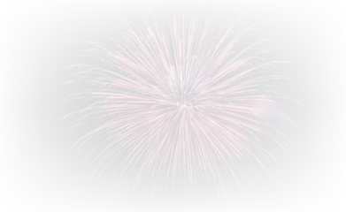 Brilliant Fireworks Explosion in the Dark PNG