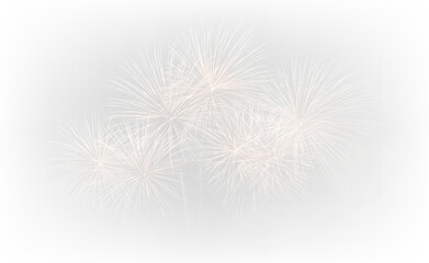 Fototapeta premium Festive Nighttime Fireworks Show PNG
