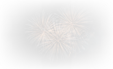 Glowing Festival Fireworks Over Black Sky PNG