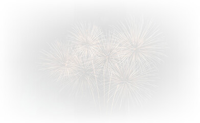 Fototapeta premium Glowing Festival Fireworks Over Black Sky PNG