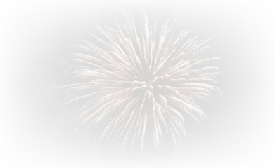 Holiday Night Fireworks Sparkle PNG