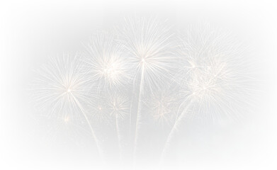 Obraz premium Celebration Fireworks Blast at Night PNG