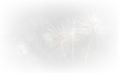 Celebration Fireworks Blast at Night PNG