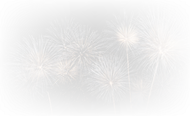Golden and Colorful Fireworks Display PNG