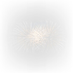 Fototapeta premium Bright Outdoor Festival Fireworks PNG