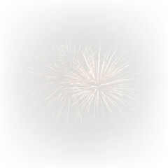 Fototapeta premium Bright Outdoor Festival Fireworks PNG