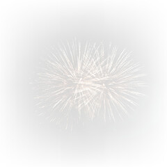 Colorful Fireworks Burst in Night Sky PNG