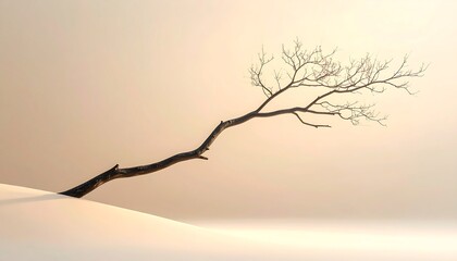 Minimalist Winter Tree Silhouette on Sandy Dune.