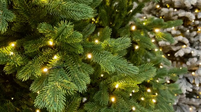 Close-up of a Christmas tree with lights