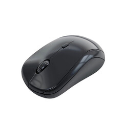 black computer mouse