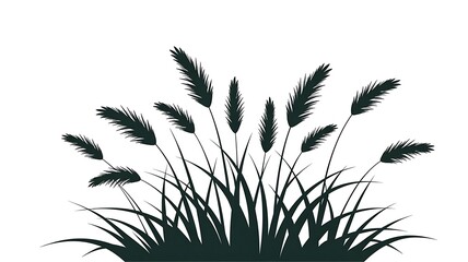 Obraz premium Minimalist Botanical Illustration of Grass and Wheat Stalks