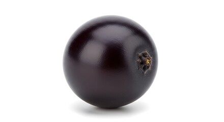 Single Blackcurrant Berry Isolated on White Background