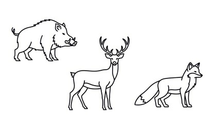 Fototapeta premium Stylized wild animal line art illustration featuring boar deer and fox for design element use