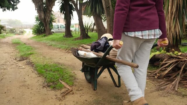 Female farmer pushing a wheelbarrow full of tools and harvested goods along a dirt road in the countryside. Rural lifestyle and agriculture