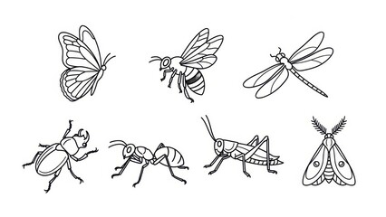 Line art illustrations of diverse insect species showcasing detailed anatomical features