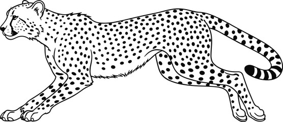 Running Cheetah Illustration – Isolated on Transparent Background Wild Sprinting Cheetah Line Art Vector Drawing