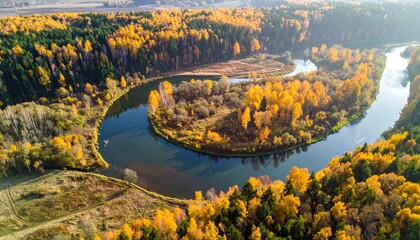 Aerial view of a meandering river winding through a vibrant autumn forest with golden foliage