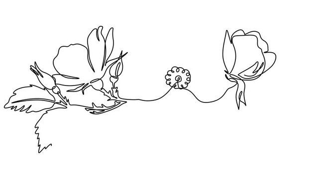 Flower set continuous outline style. Decoration flower, botanical floral element, blossom one line art for wedding, spring concept background. Vector illustration, single, animation, motion, video