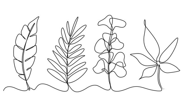 leaf continuous one line drawing animation, leaf continuous one line drawing animation, Sprout, one line drawing animation. Video clip with alpha channel, leaves continuous one line drawing on black