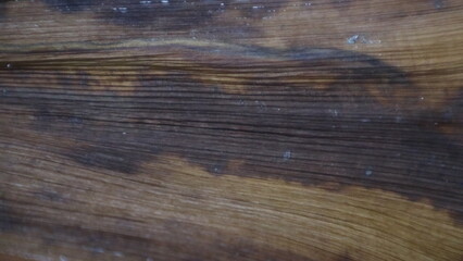 Fototapeta premium Close-up of Dark Wood Grain Texture with Horizontal Stripes.