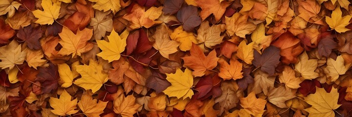 Fototapeta premium Colorful Autumn Leaves Background