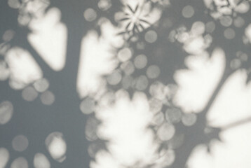 Black and white photo of a tree with a lot of leaves.