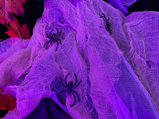 Halloween decoration with spiders on a dark background with blue lighting and cobwebs.