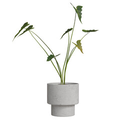 Plant mockup in concrete pot with green leaves showing simple design and modern style
