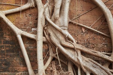 Prasat Pram at the ancient Khmer capital of Koh Ker in Cambodia