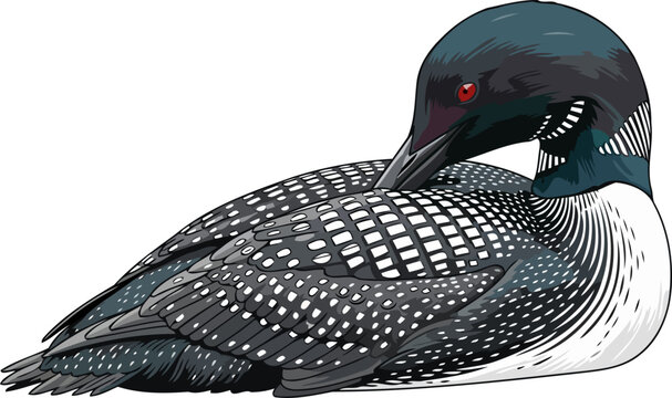 northern waters guardian natures intricate pattern and tranquil wilderness presence, isolated on transparent background
