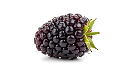 Fresh Ripe Blackberry with Green Stem Isolated on White