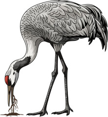 Fototapeta premium lifes foundational quest a cranes instinctive search for earths deep nourishment, isolated on transparent background