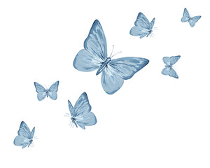 blue watercolor flock of butterfly design hand drawn