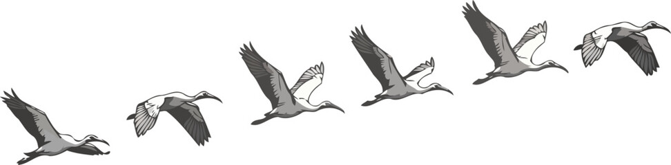 Obraz premium sequential mastery tracing the epochal path from earthbound to ethereal flight, isolated on transparent background