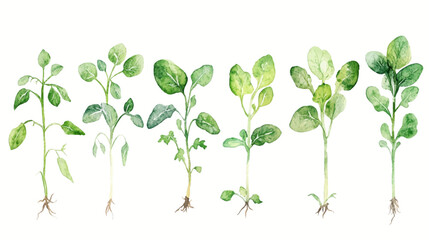 Obraz premium Creative Illustrations for Gardening Enthusiasts