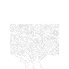 Topographic Contour Map Lines Abstract Background in White and Gray Tones