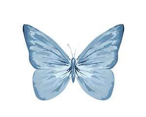 WATERCOLOR hand drawn design vector 