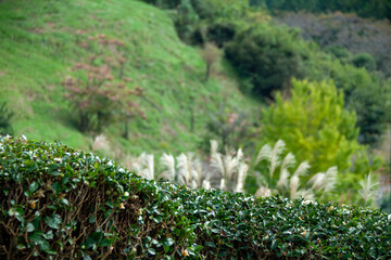 秋の里山の風景