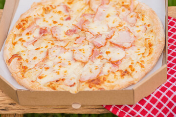 Fototapety na wymiar - Fototapeta24.pl