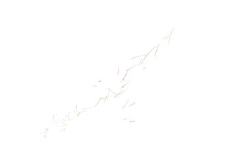 “New Frequency Wave”