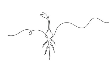 Continuous one line drawing of a plant vector outline illustration isolated black and white